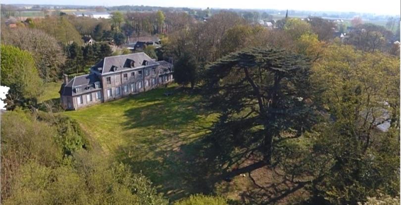 Les Gites Du Chateau Du Cedre Manneville-ès-Plains 外观 照片